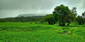 12 Best places to visit in monsoon in India
