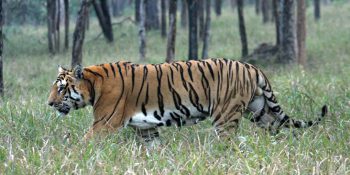12 Best Places to Visit near Kanha National Park