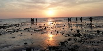 Top 10 Must-Visit Beaches Of Gujarat