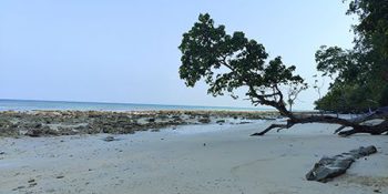 Top Reasons To Visit Andaman With Friends