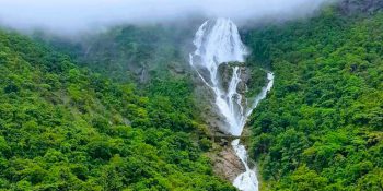 Most Visited Place In Dudhsagar Waterfalls