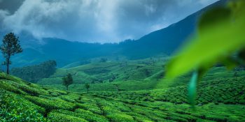 Most Visited Place In Munnar