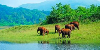 Most Visited Place In Thekkady
