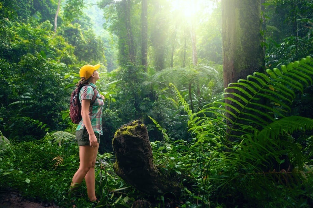 Exploring Sustainable Tourism Initiatives - Toliday Trip
