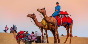 Exploring the Deserts of Rajasthan on Camelback