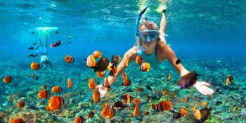 Exploring Underwater Worlds: Snorkeling Hotspots