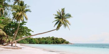 Island Escapes: Tropical Paradises Perfect for Your Next Vacation