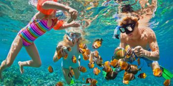 Underwater Wonders: Diving Destinations for Exploring the Deep Blue Sea