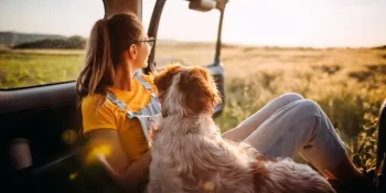 Traveling with Pets: Pet-Friendly Destinations and Tips for a Smooth Trip