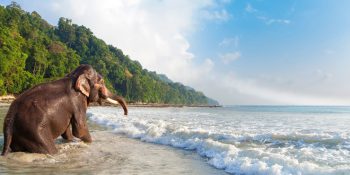 Beach Hopping in Andaman