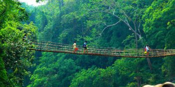 Mesmerizing Meghalaya: Discovering the Living Root Bridges
