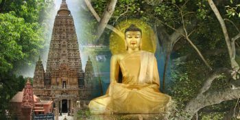 Spiritual Oasis: Meditating in Bodh Gaya