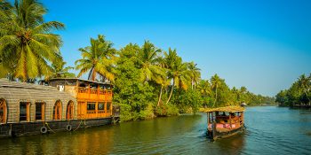 Discovering the Serenity: A Guide to Kerala’s Backwaters