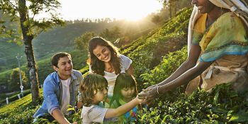 Kerala for kids: Family-Friendly Activities and Tour