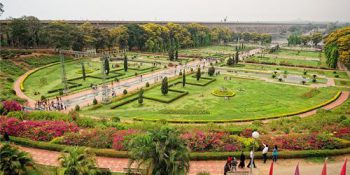 Garden City Charms: Bangalore’s Botanical Wonders