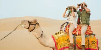 Traversing the Desert: Camel Safari in Jaisalmer