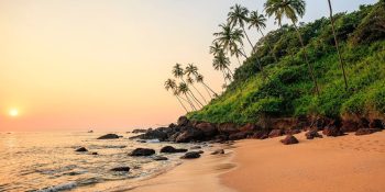 Volunteering and Sustainable Travel Opportunities in Goa