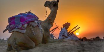 Rajasthan: A Quick and Convenient Travel Guide