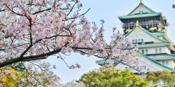 Exploring the Charms of Winter in Japan