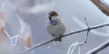 Winter Wildlife Reserves Practicing Sustainability