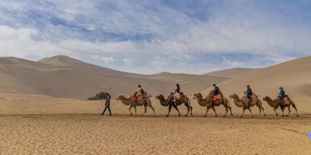 India’s Desert National Parks in Winter: A Perfect Winter Escape