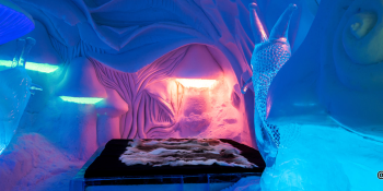 Stay in an Ice Hotel for a Unique Experience