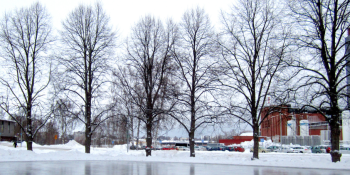 Perfect Ice Skating Rinks for Couples