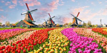Top 10 Places to Visit in the Netherlands – A Complete Travel Guide