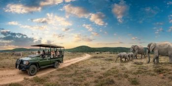 Top 10 Must-Visit Places in South Africa – A Complete Travel Guide