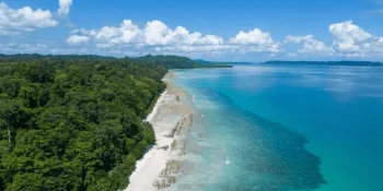 Top 5 Must-Visit Places in Andaman with Stunning Views