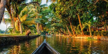 Top 10 Must-Visit Places in Kerala – God’s Own Country