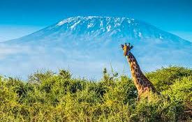 Top 10 Must-Visit Places in Tanzania for an Incredible African Adventure