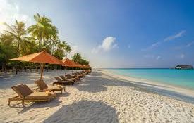 Top 10 Best Places to Visit in Goa for an Unforgettable Holiday