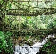 Top 10 Must-Visit Places in Meghalaya – The Abode of Clouds