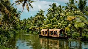 Top 10 Must-Visit Places in Kerala – A Complete Travel Guide (2026)