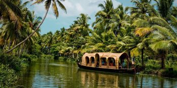 Top 10 Places to Visit In Kerala: Explore God’s Own Country.