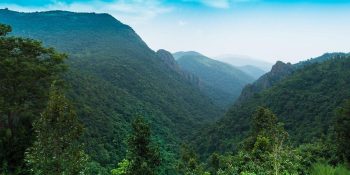 Top 5 Places to Visit in Odisha: Explore Temples, Beaches, Culture & Nature