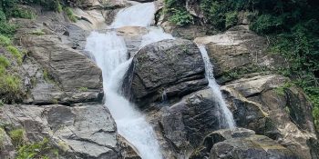 Top 10 Places to Visit in Wayanad – Explore Kerala’s Green Paradise