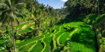 Top 10 Places to Visit in Bali – A Complete Travel Guide